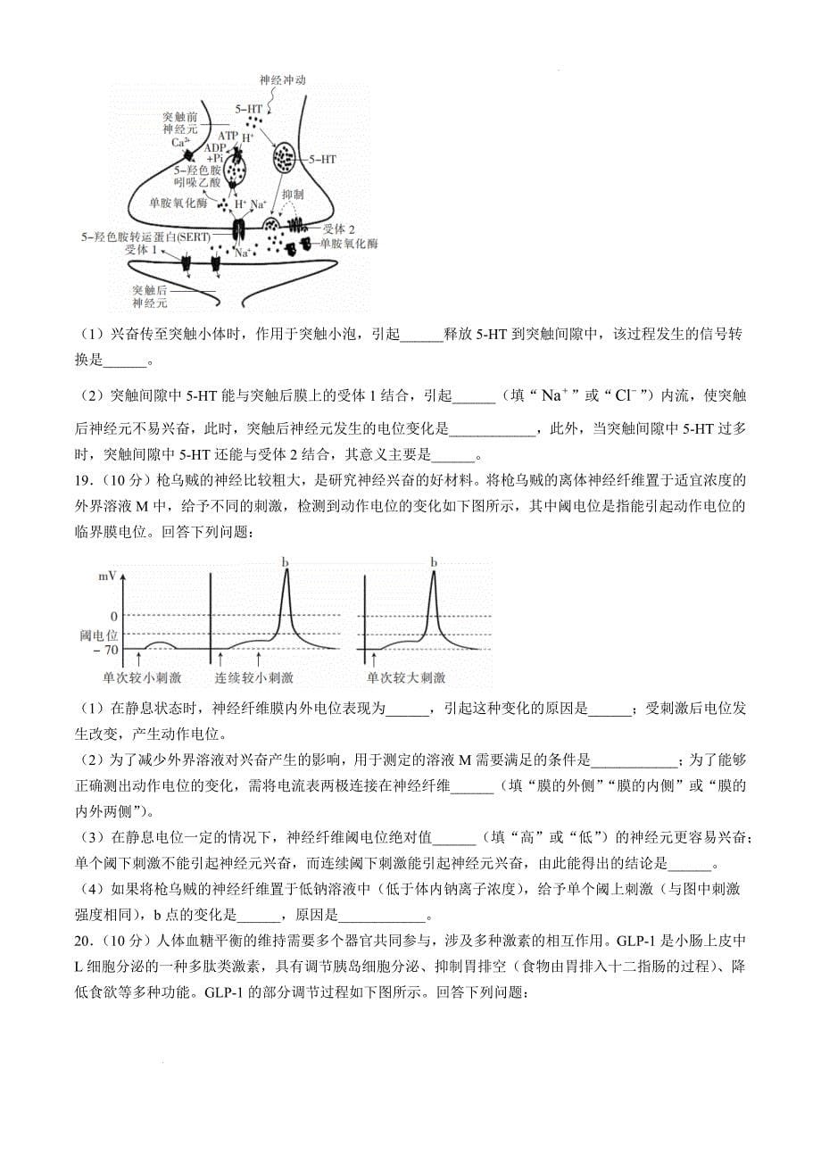 四川省2024-2025学年高二上学期期中调研测试生物Word版_第5页