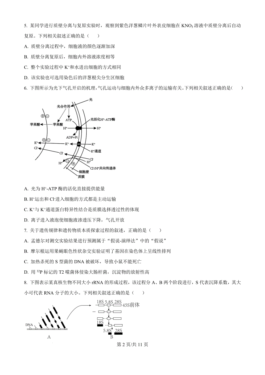 江苏省盐城市2024-2025学年高三上学期11月期中生物（原卷版）_第2页