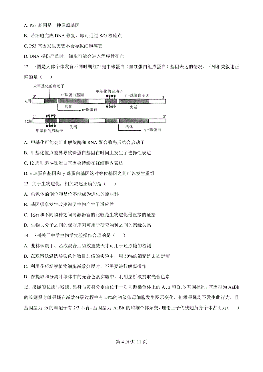 江苏省盐城市2024-2025学年高三上学期11月期中生物（原卷版）_第4页