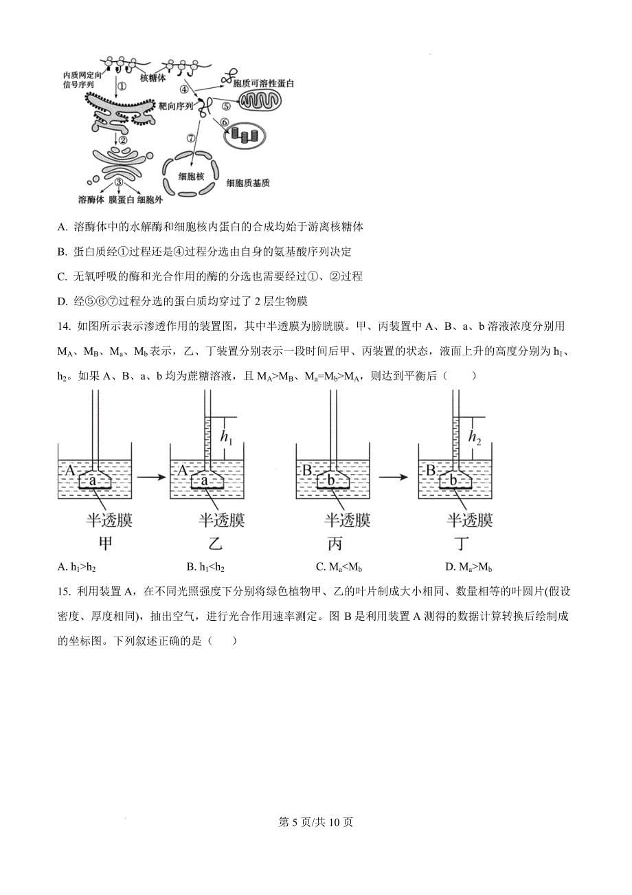 江西省宜春市丰城市第九中学2024-2025学年高三上学期11月期中考试生物（原卷版）_第5页