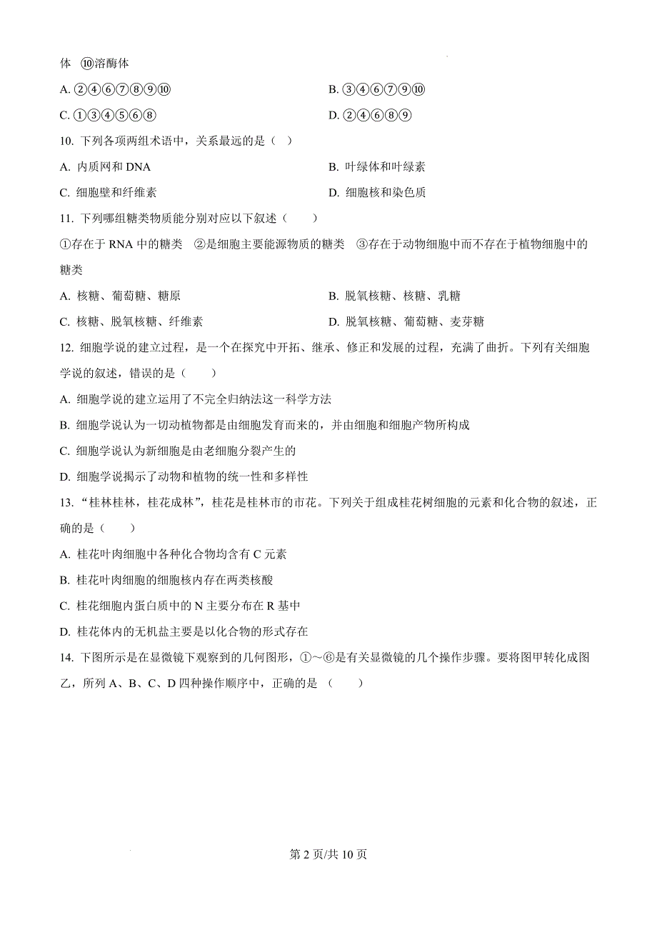 四川省资中县第二中学2024-2025学年高一上学期11月期中考试生物（原卷版）_第2页