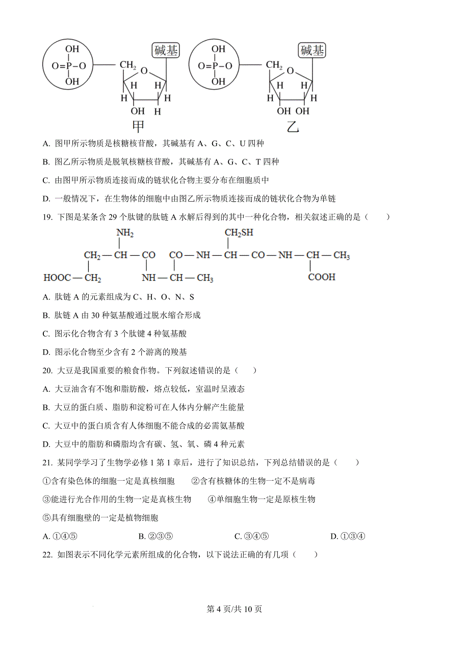 四川省资中县第二中学2024-2025学年高一上学期11月期中考试生物（原卷版）_第4页