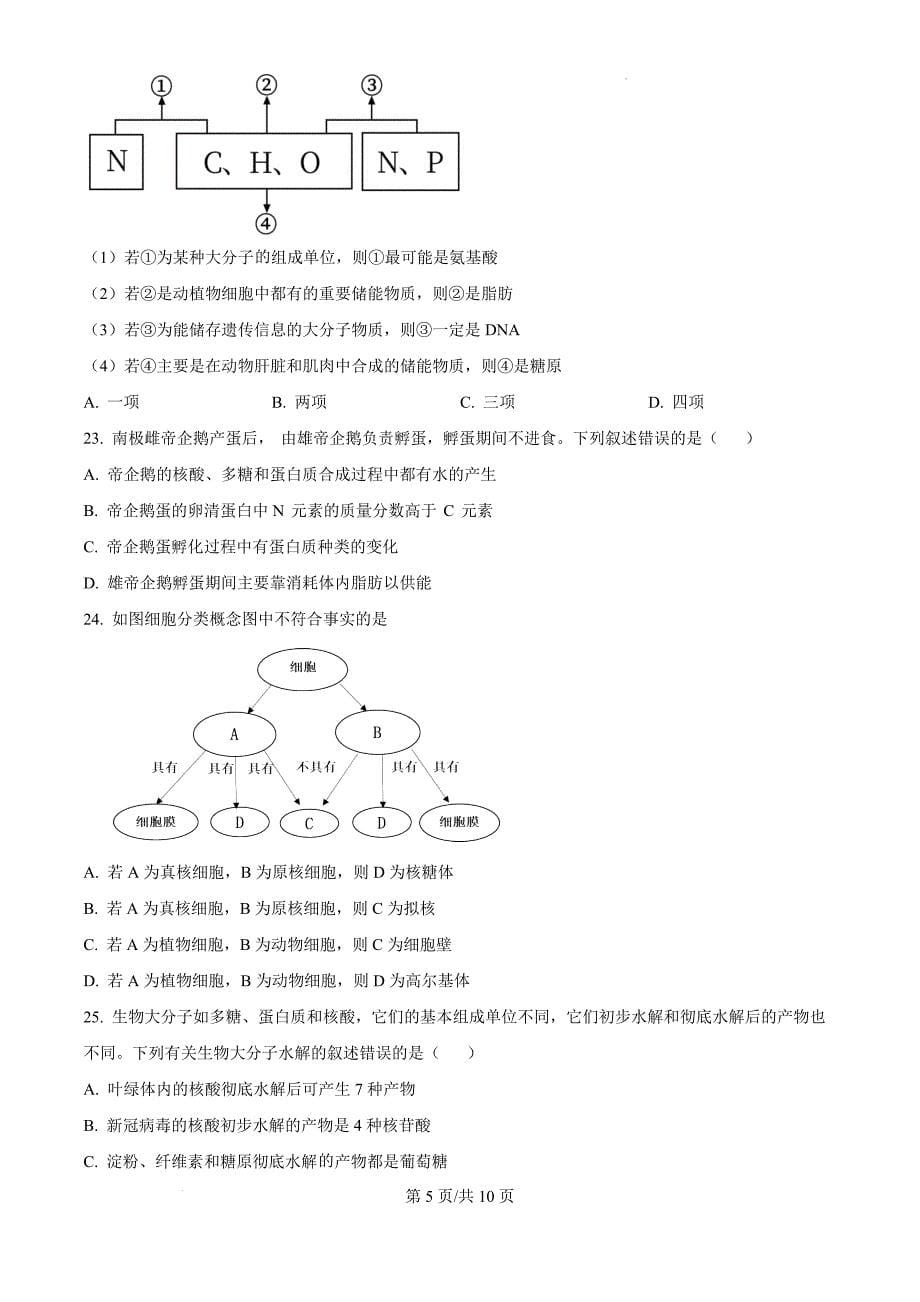 四川省资中县第二中学2024-2025学年高一上学期11月期中考试生物（原卷版）_第5页