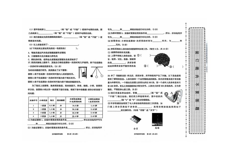 五年级上册科学期末测试卷教科版_第2页