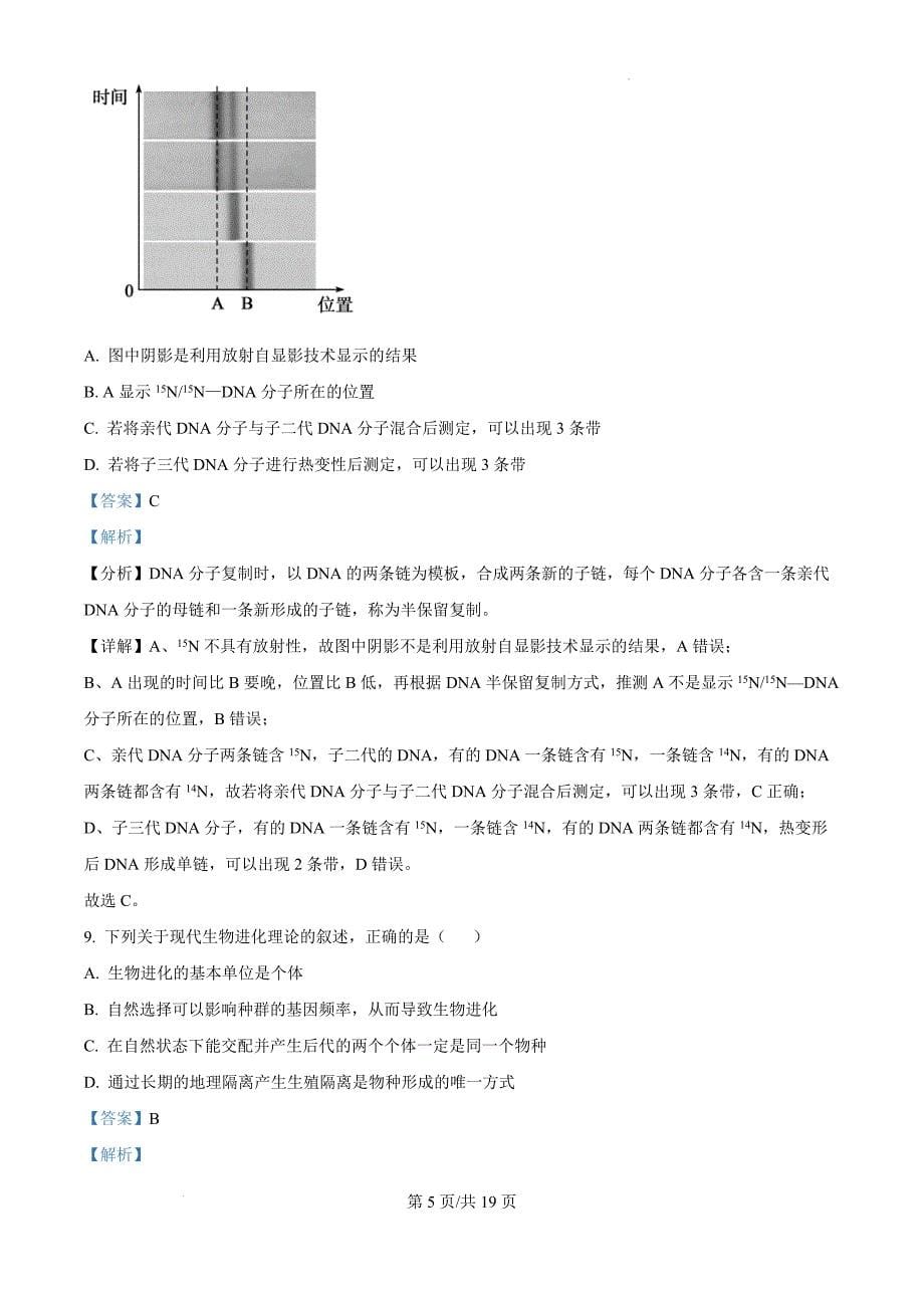 2025届河南省洛阳理工学院附属高级中学高三一模生物（解析版）_第5页