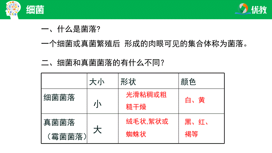 2021-2022学年生物八上《第四章 细菌和真菌》章末复习课件_第2页