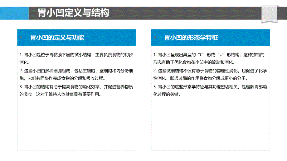 胃小凹类器官的构建与功能研究-剖析洞察_第4页