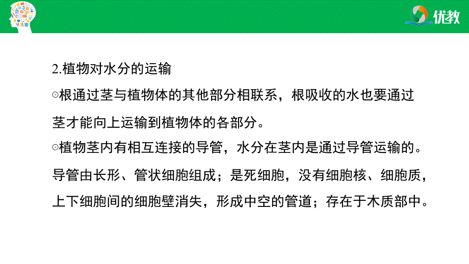 2021-2022学年生物七上《第三章 绿色植物与生物圈的水循环》章末复习课件_第4页