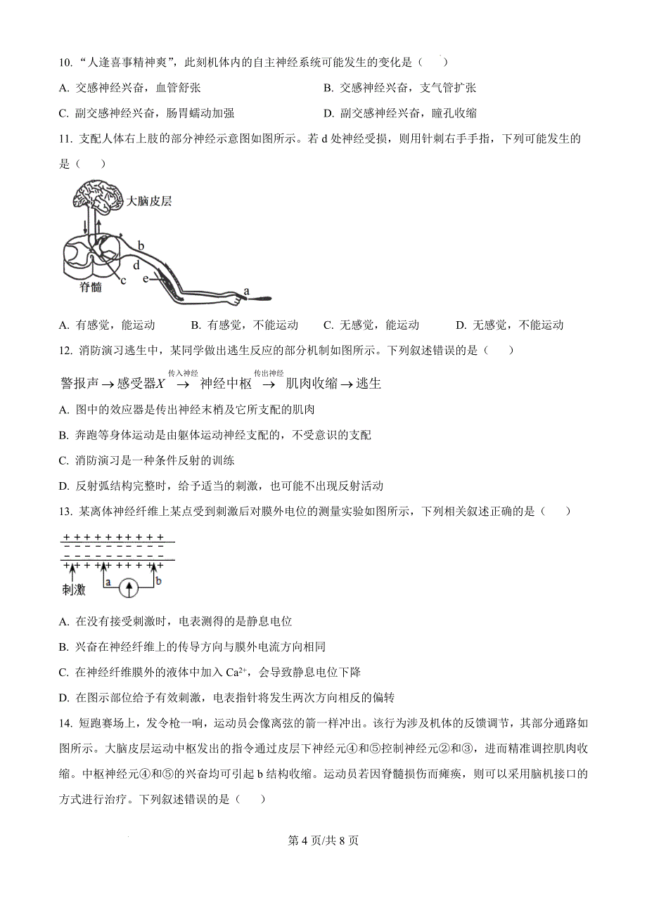 甘肃省兰州市兰州新区片区联考2024-2025学年高二上学期期中生物（原卷版）_第4页