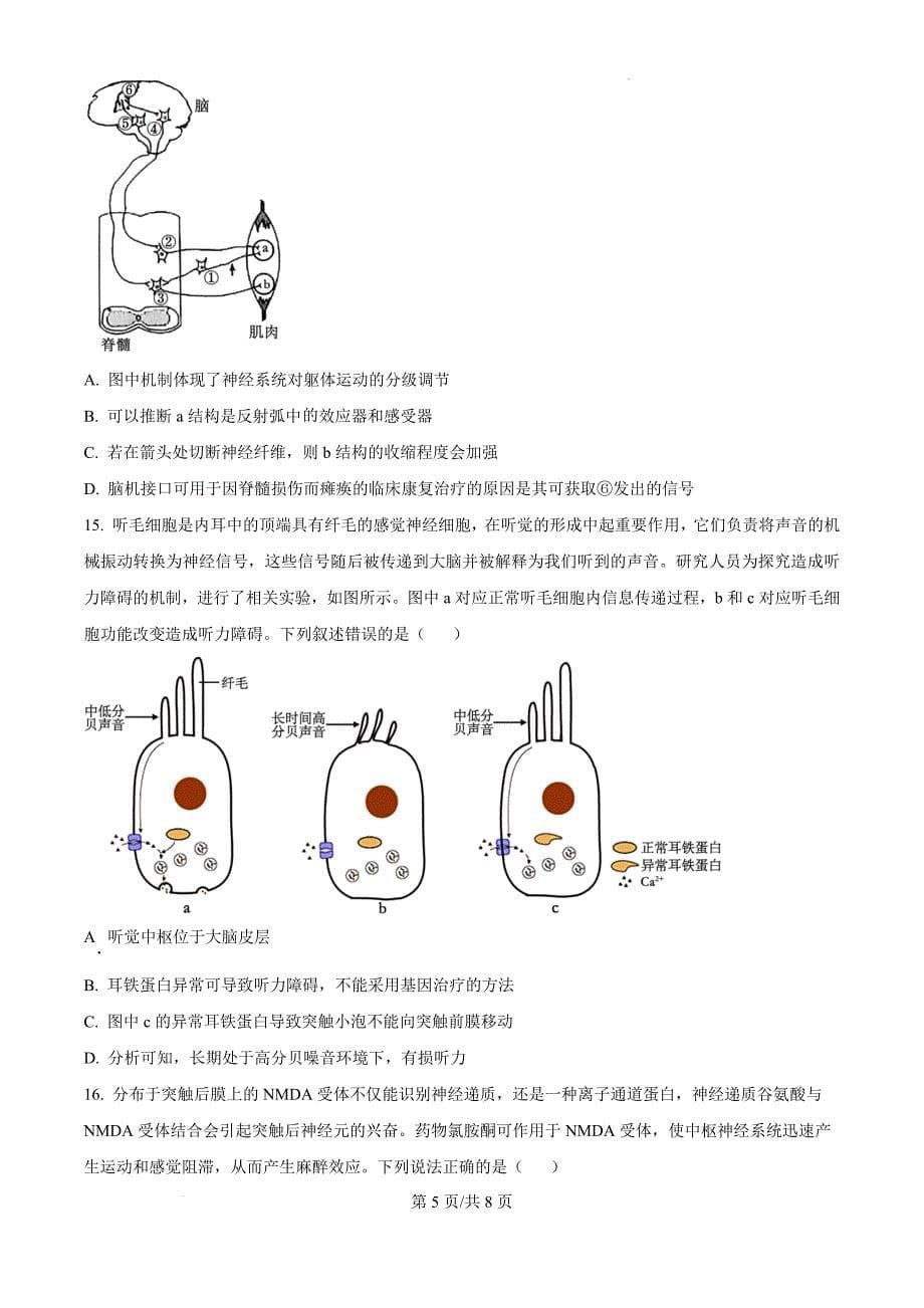 甘肃省兰州市兰州新区片区联考2024-2025学年高二上学期期中生物（原卷版）_第5页