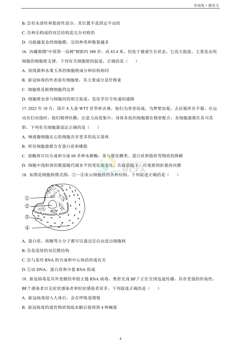 浙江省七彩阳光联盟2022-2023学年高一11月期中生物试题_第4页