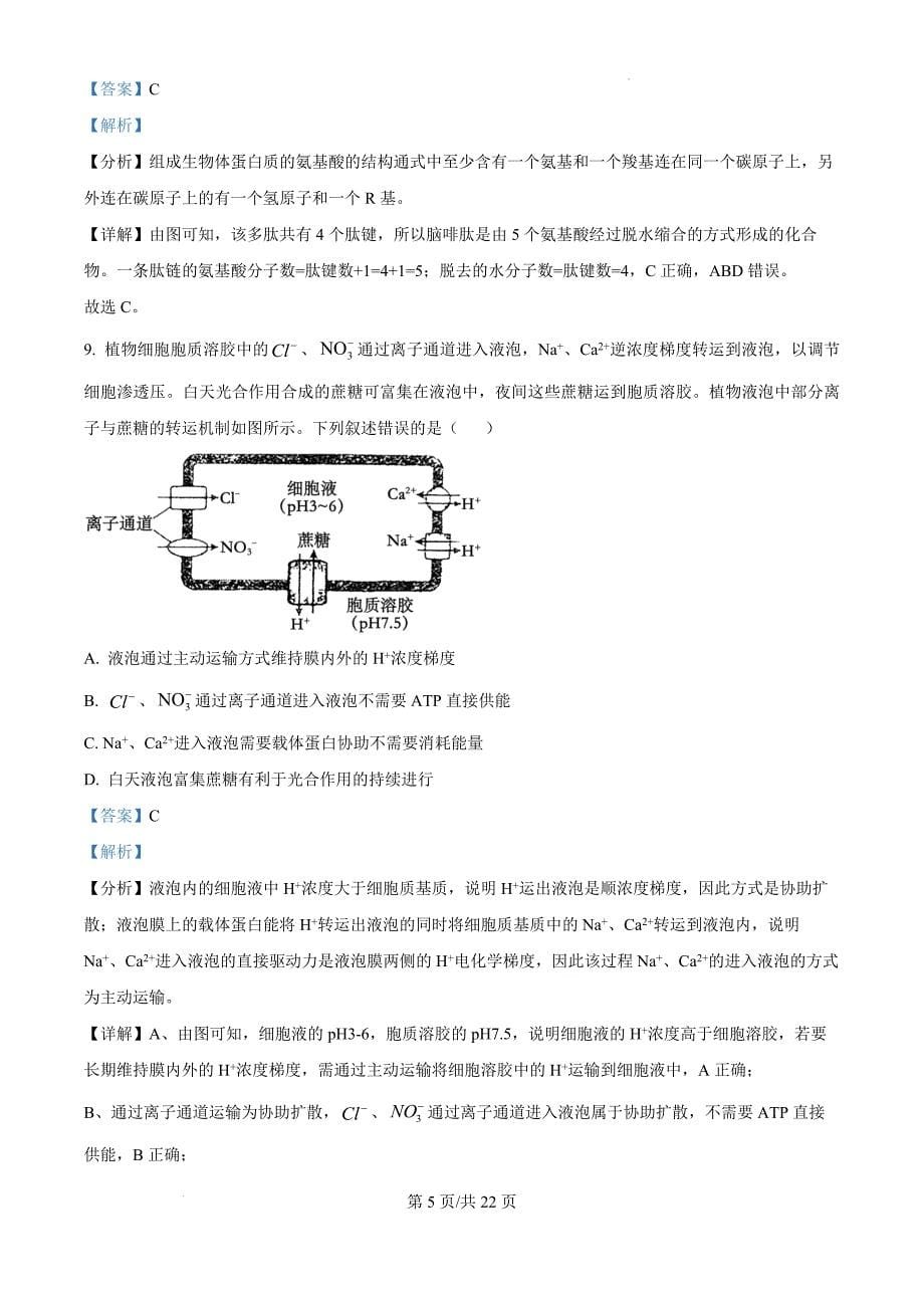 内蒙古自治区赤峰市红山区赤峰第四中学分校2024-2025学年高三上学期月考生物（解析版）_第5页