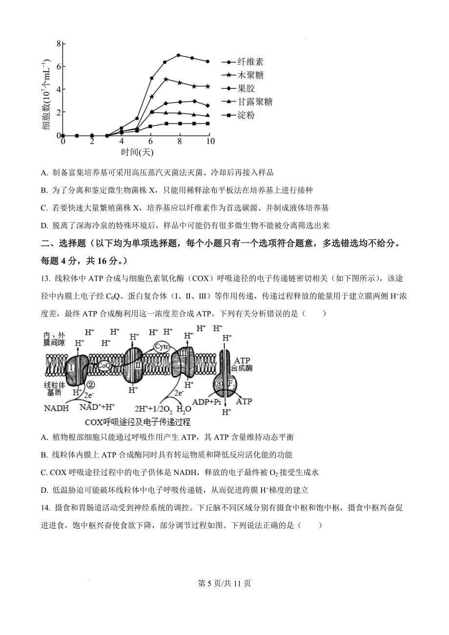 2025届广东省惠州市高考二模生物（原卷版）_第5页