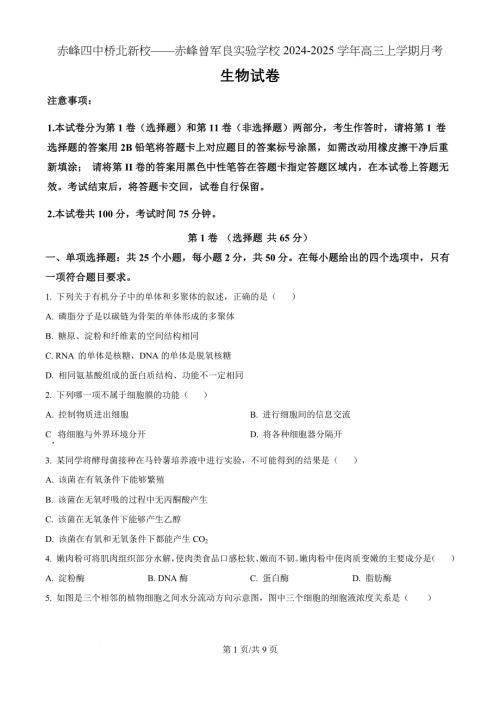 内蒙古自治区赤峰市红山区赤峰第四中学分校2024-2025学年高三上学期10月月考生物（原卷版）