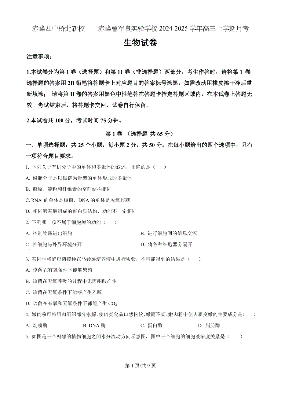 内蒙古自治区赤峰市红山区赤峰第四中学分校2024-2025学年高三上学期10月月考生物（原卷版）_第1页