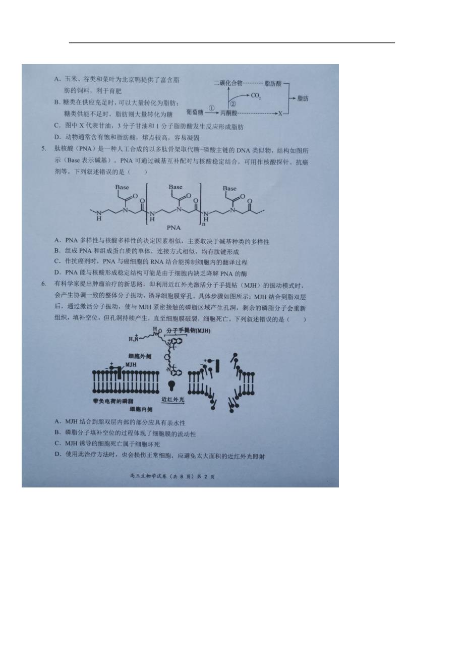 湖北新高考协作体2024-2025学年高三上学期11月期中生物试题_第3页