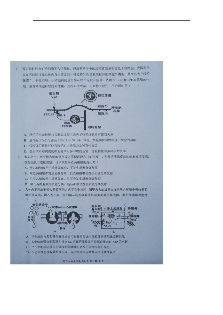 湖北新高考协作体2024-2025学年高三上学期11月期中生物试题_第4页