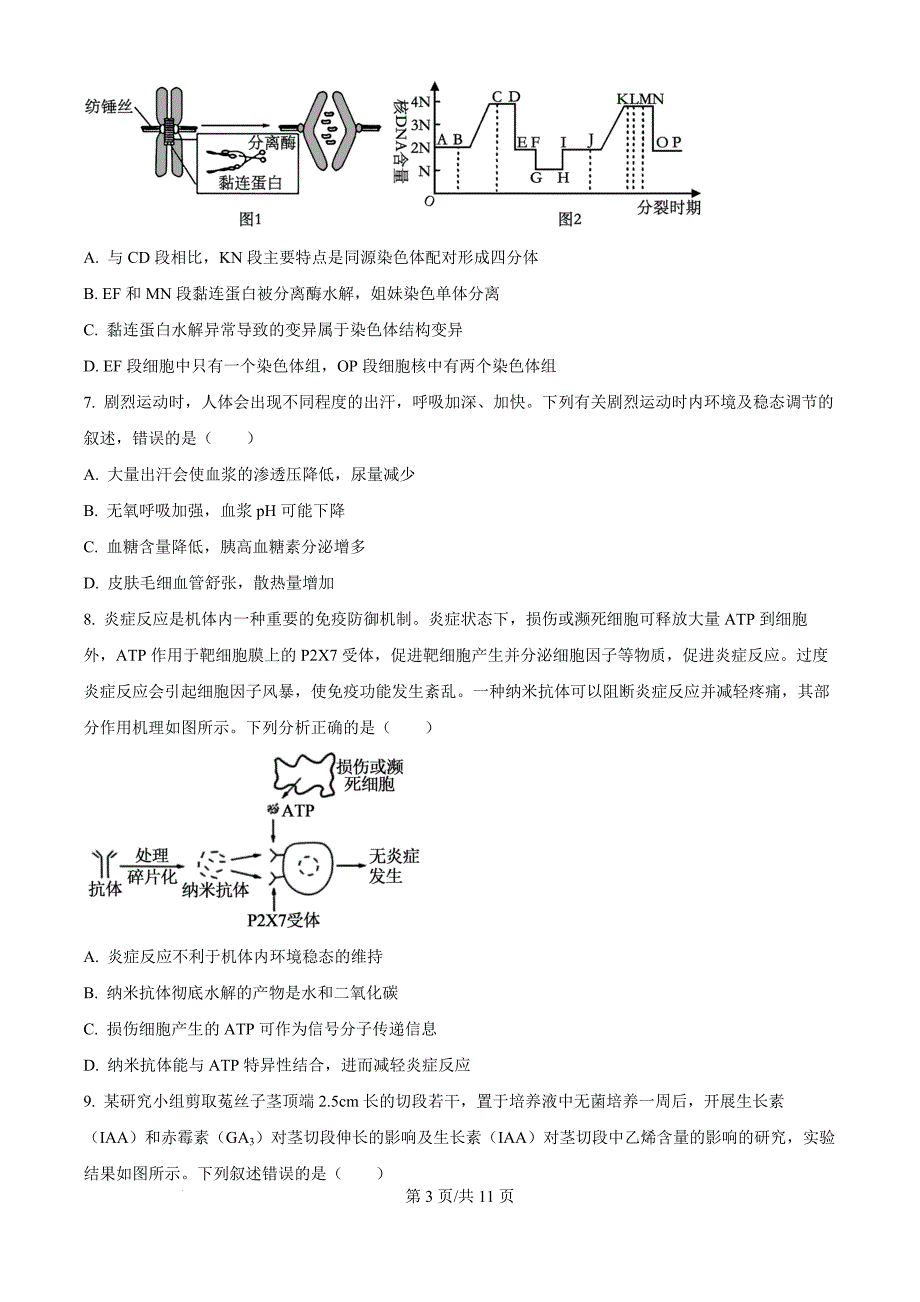 2024届河北省部分高中二模生物（原卷版）_第3页