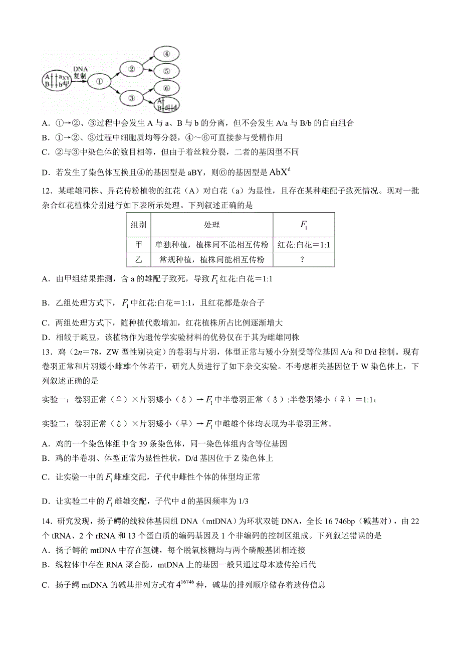 河南部分重点中学2024-2025学年高三上学期11月质量检测生物试题（含解析）_第4页