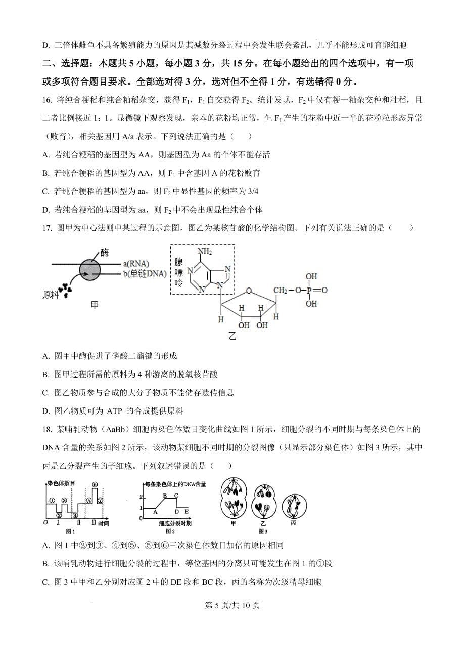 内蒙古自治区赤峰市多校联考2024-2025学年高三上学期10月月考生物（原卷版）_第5页