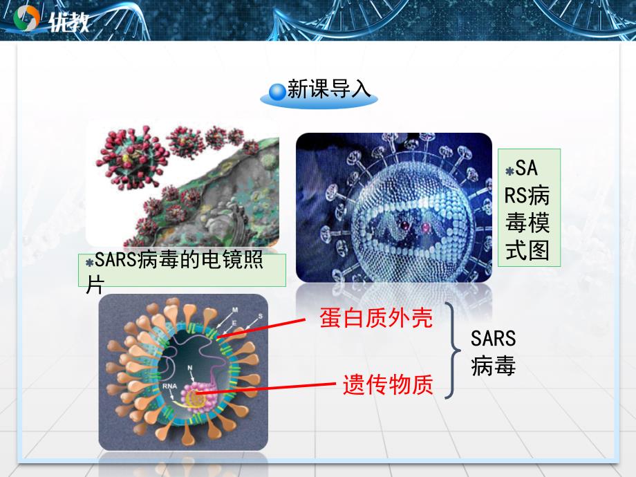 《从生物圈到细胞》优教课件_第2页