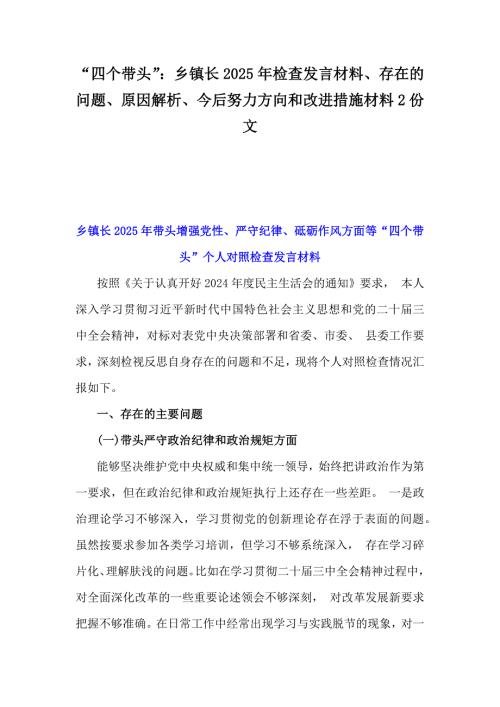 “四个带头”：乡镇长2025年检查发言材料、存在的问题、原因解析、今后努力方向和改进措施材料2份文