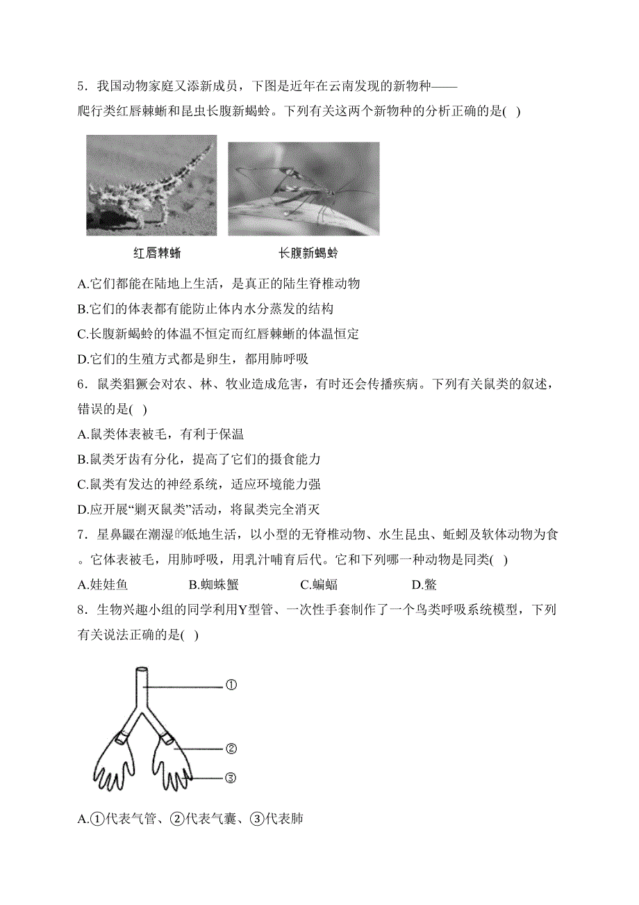 广东省东莞市2024-2025学年八年级上学期12月月考生物试卷(含答案)_第2页