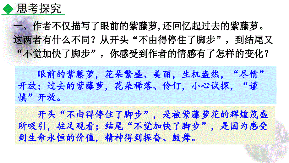 （初一语文课件）人教版初中七年级语文下册第五单元18 紫藤萝瀑布教学课件_第2页