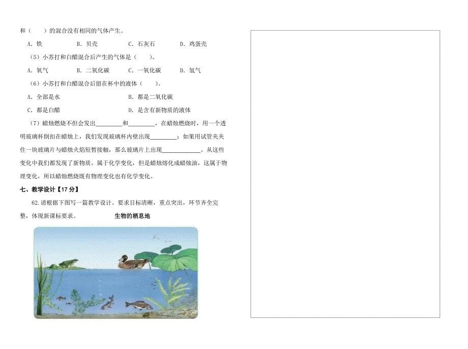 小学科学教师晋升高级（一级）职称水平考试模拟试卷（二）_第5页