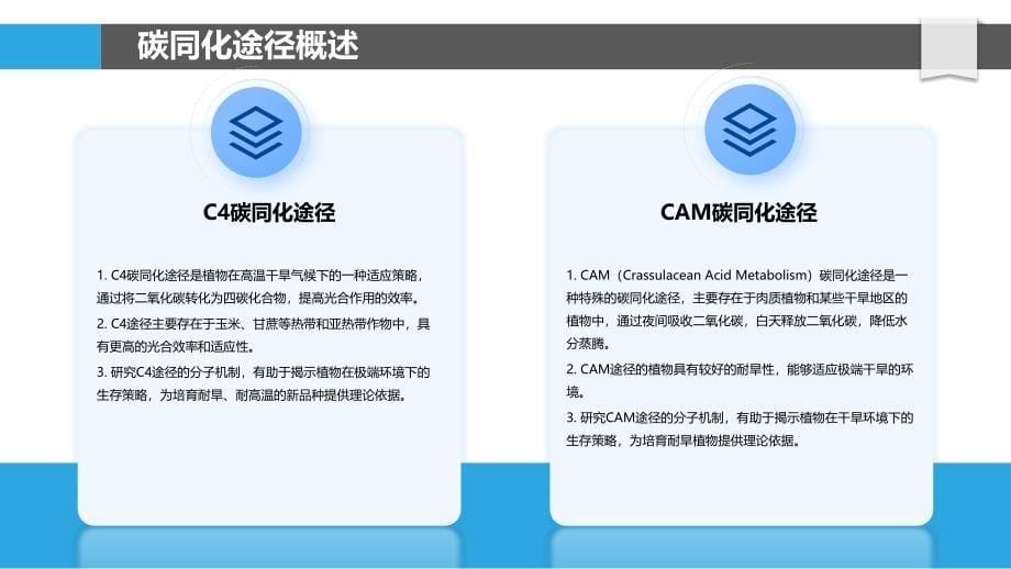 喜阴植物碳同化途径-剖析洞察_第5页