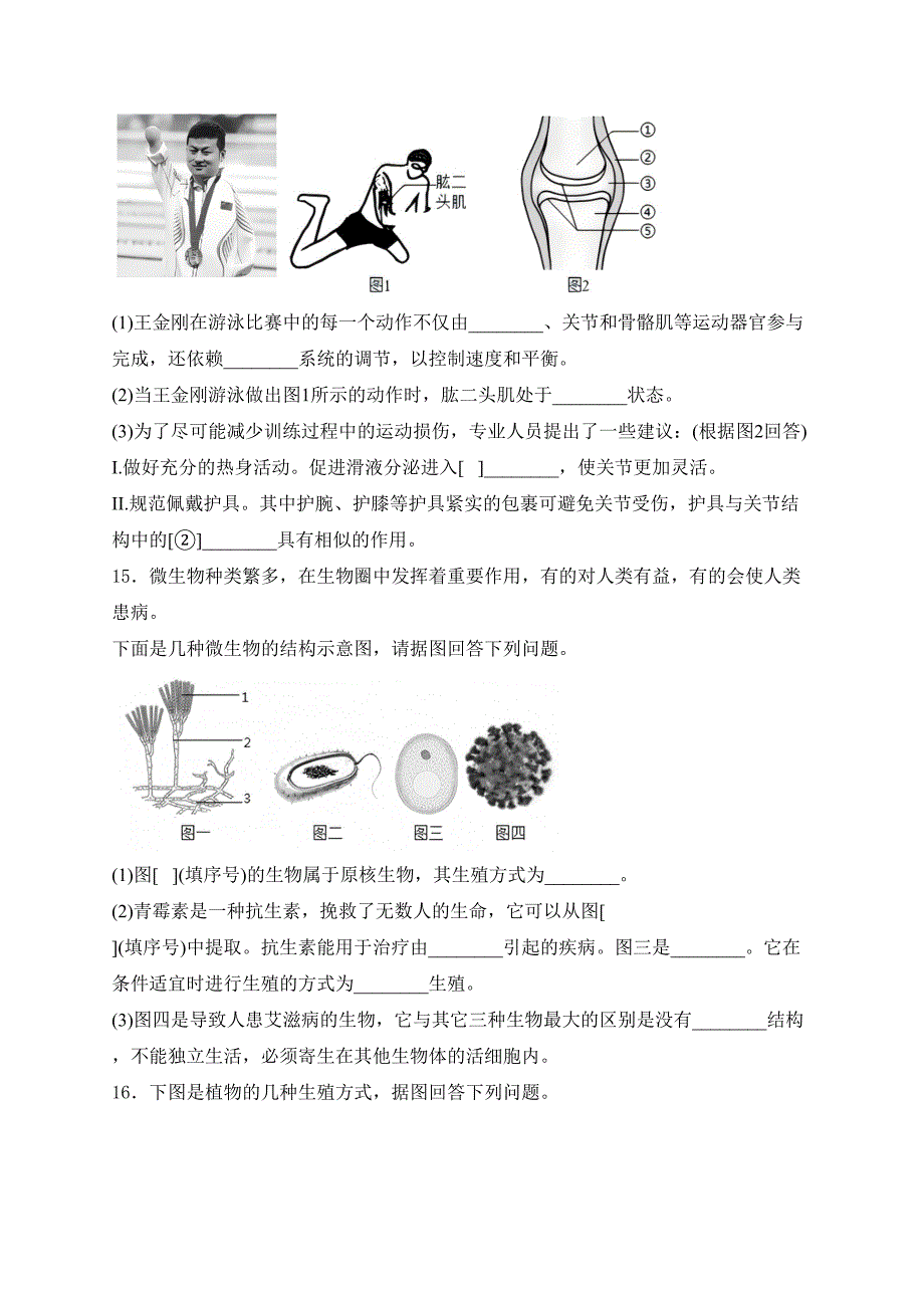 辽宁省抚顺市2024-2025学年八年级上学期期末生物试卷(含答案)_第4页