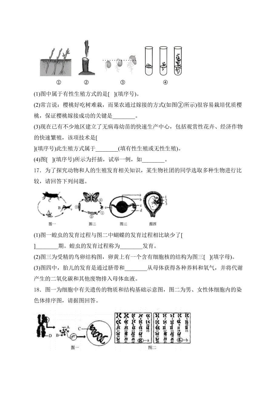 辽宁省抚顺市2024-2025学年八年级上学期期末生物试卷(含答案)_第5页