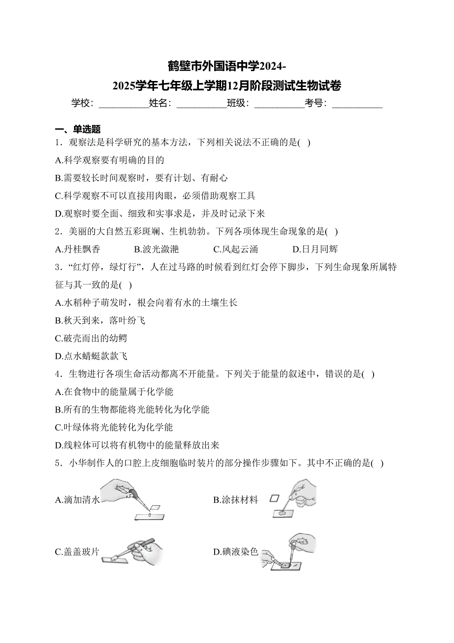 鹤壁市外国语中学2024-2025学年七年级上学期12月阶段测试生物试卷(含答案)_第1页