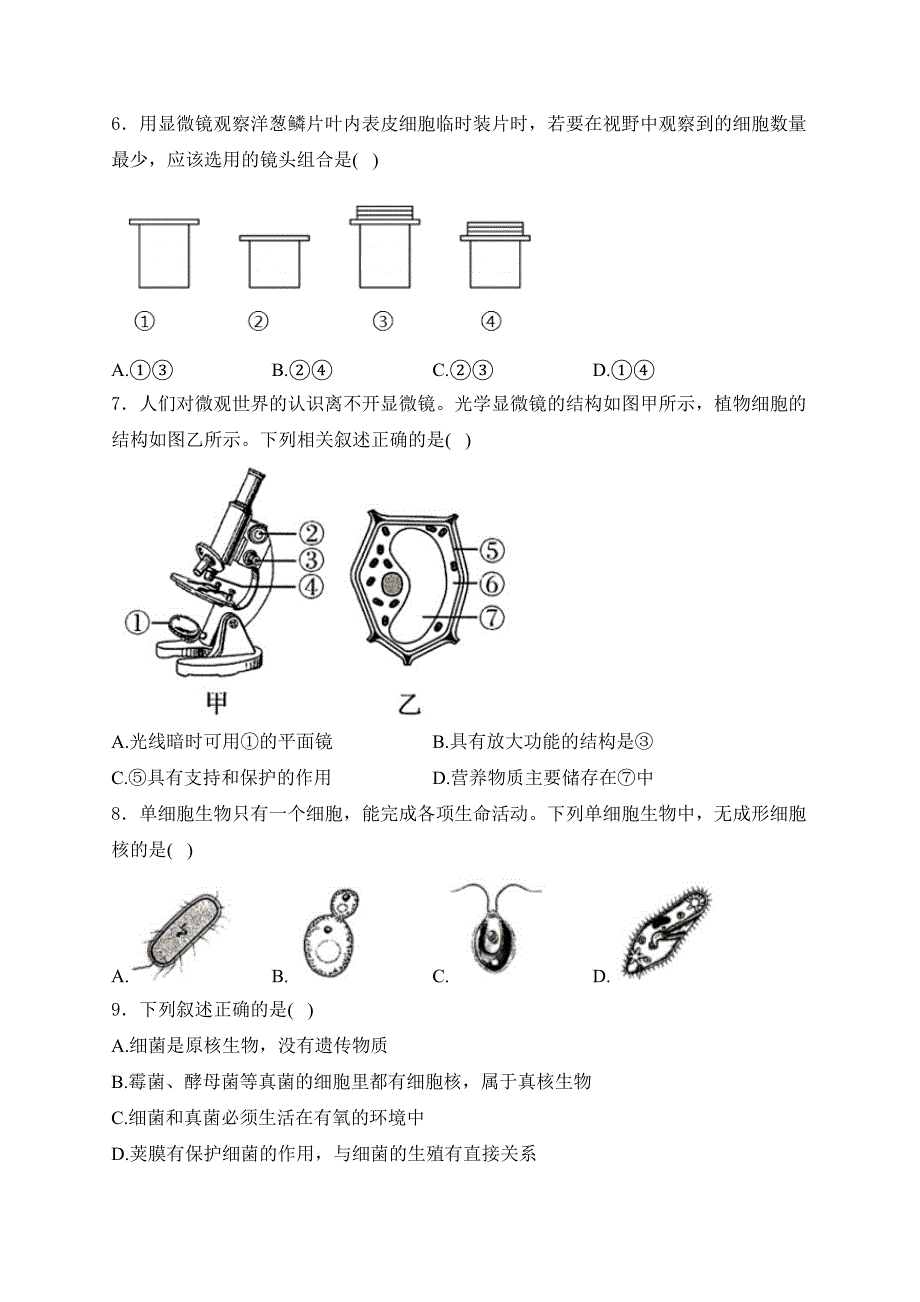 鹤壁市外国语中学2024-2025学年七年级上学期12月阶段测试生物试卷(含答案)_第2页