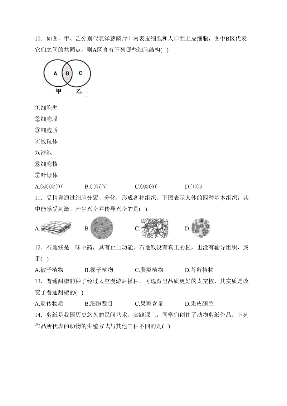 鹤壁市外国语中学2024-2025学年七年级上学期12月阶段测试生物试卷(含答案)_第3页