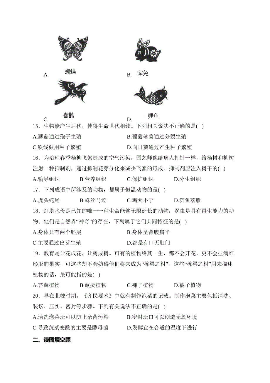 鹤壁市外国语中学2024-2025学年七年级上学期12月阶段测试生物试卷(含答案)_第4页