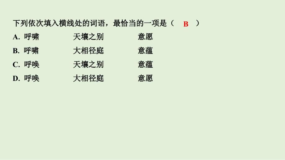 2025年广东省中考语文二轮复习《词语积累与运用》课件_第4页