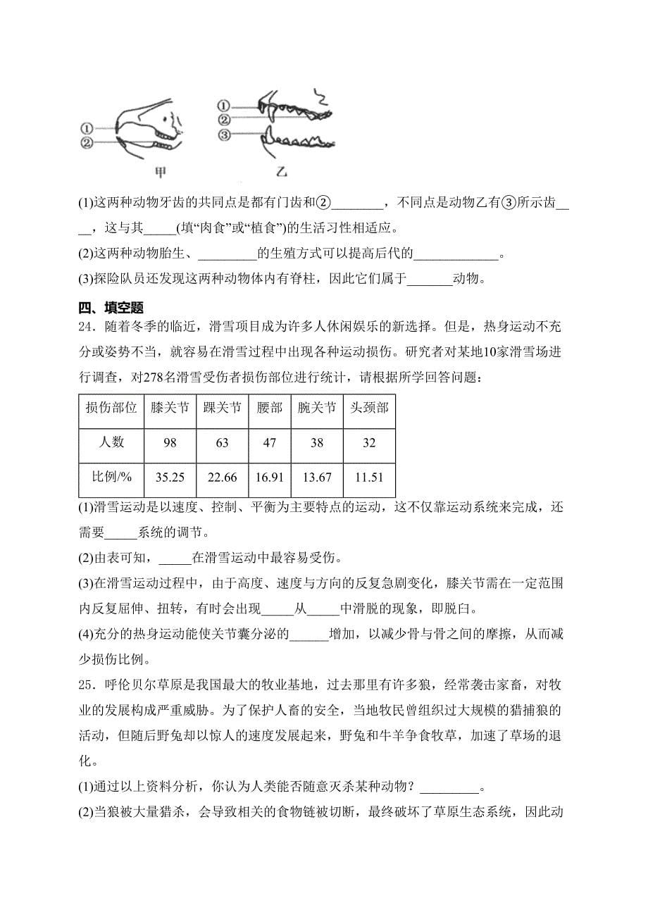 吉林省白城市部分学校2024-2025学年八年级上学期第三次月考生物试卷(含答案)_第5页