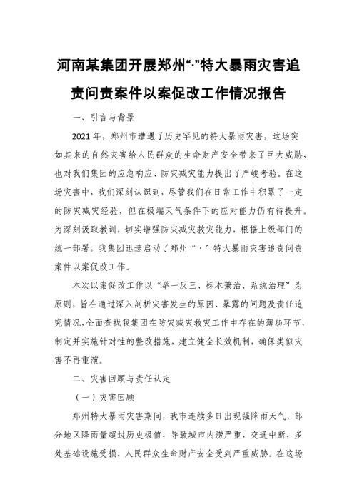 河南某集团开展郑州“•”特大暴雨灾害追责问责案件以案促改工作情况报告