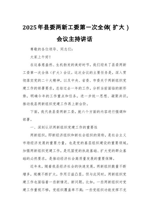 2025年县委两新工委第一次全体（扩大）会议主持讲话