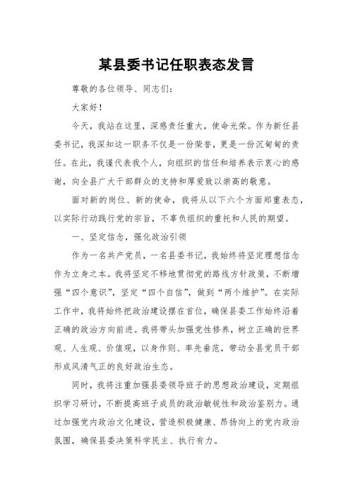 某县委书记任职表态发言5