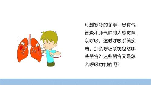 初中生物呼吸道和肺课件2024--2025学年冀少版生物七年级下册