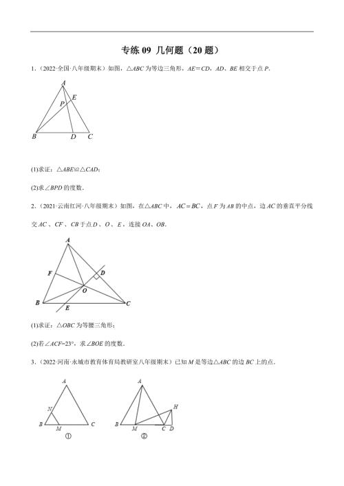 2025年初中专练09 几何题（20题）八年级数学下学期期末考点必杀200题（北师版）（原卷版）