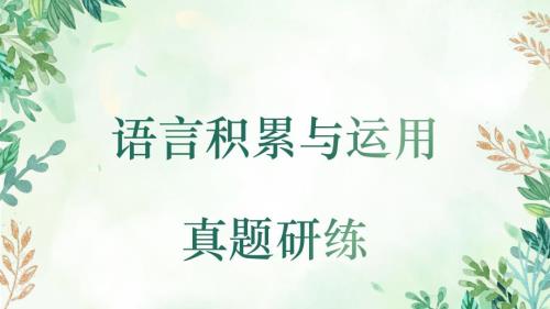 高考语文专题复习：语言积累与运用小题研练
