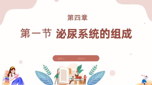 初中生物泌尿系统的组成 课件-2024-2025学年冀少版生物七年级下册