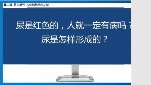 初中生物尿液的形成和排出课件2024-2025学年冀少版生物七年级下册