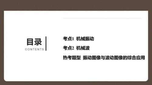 2025精品高考物理作业课件专题十三 机械振动与机械波 附解析