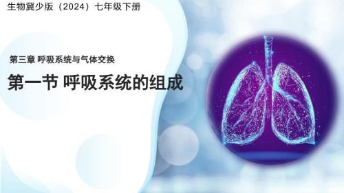 初中生物呼吸系统的组成 课件-2024--2025学年冀少版生物七年级下册