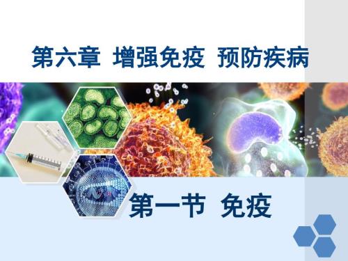 初中生物免疫 课件-2024-2025学年冀少版生物七年级下册