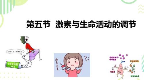 初中生物激素与生命活动的调节 课件-2024--2025学年冀少版生物七年级下册